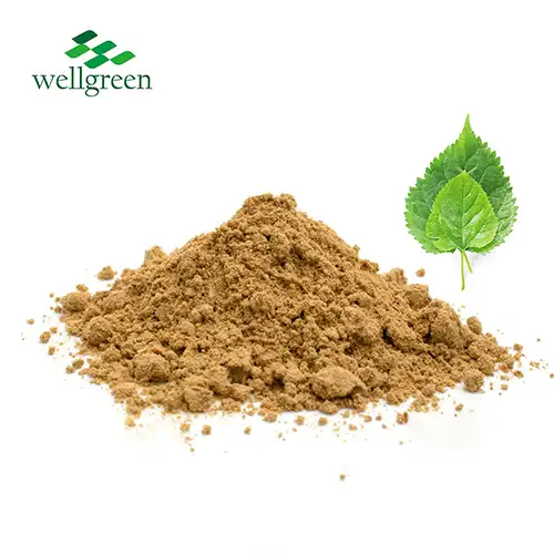 Mulberry Leaf Extract Powder